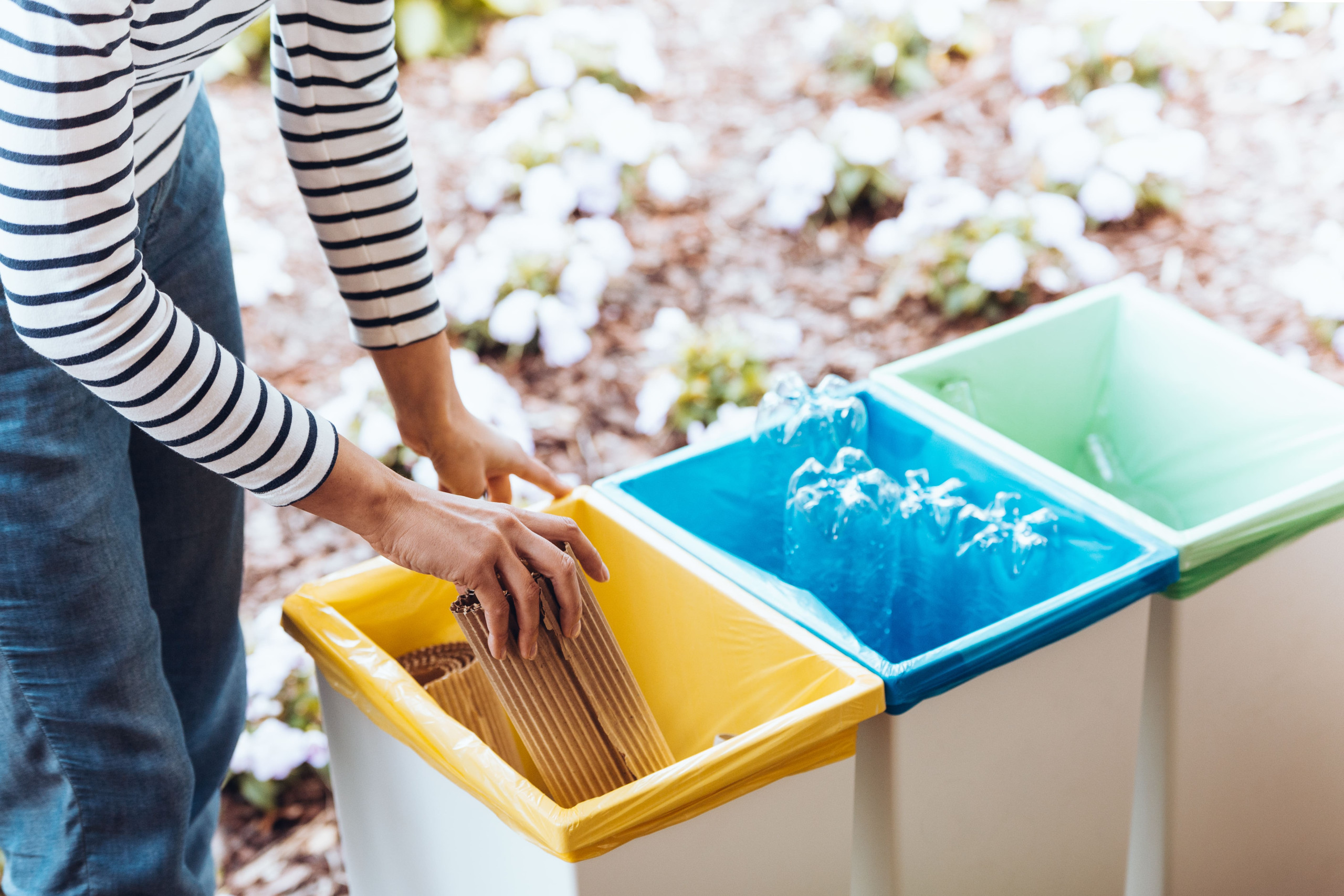 collecte déchets